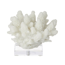 11cm Coral Resin Sculpture on Stand