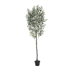 180cm Potted Faux Olive Tree