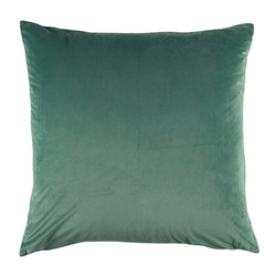 Vivid Velvet Cushion in Sage