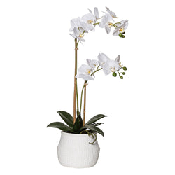 Artificial Butterfly Orchid Basket Pot